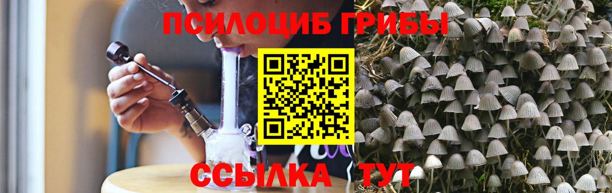 Новокубанск  Псилоцибиновые грибы прущие грибы  Вход с VPN 